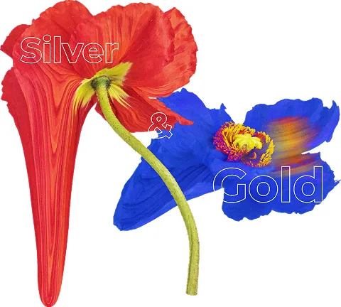 Impresión especial con tintas dorado y plata Beyond CMYK para acabados premium en piezas gráficas de alto impacto