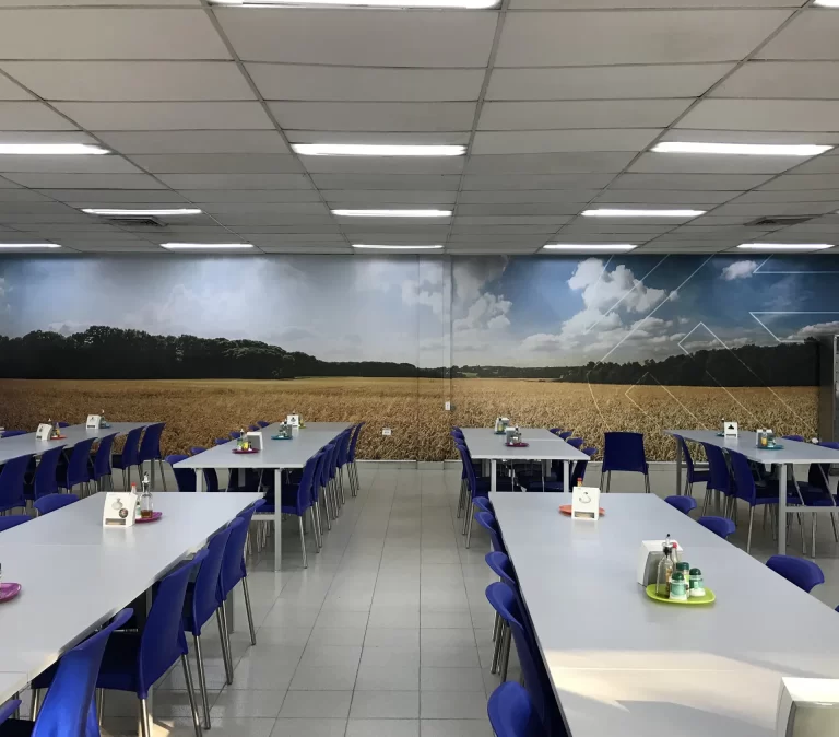 mural-interior-empresa-impresion-gran-formato-kipock